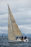 hoo-ha gbr2416c whw10 sun rmc 4442
